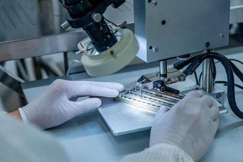 綠色為底 低碳為筆 仁和區(qū) 七大 示范引領工程推動綠色轉型