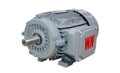 皖南電機(jī)YX3系列產(chǎn)品順利通過省級專項(xiàng)監(jiān)督抽查