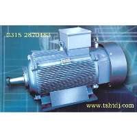 唐山冶金起重電機、變頻電機、輥道電機、渦流電機、高壓電機及低壓大功率電機。(www.tshtdj.com)