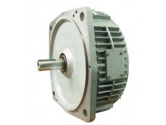 特殊電機生產廠家