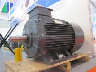 高效電機雙龍集團上海防爆電機鹽城_世界工廠網(wǎng)