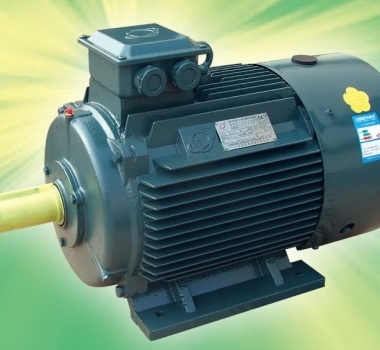 東莞電機供應 電動機效率與溫升問題的探討