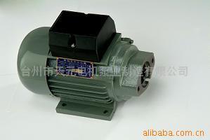 臺州市天元電機泵業制造 專業電動機制造商