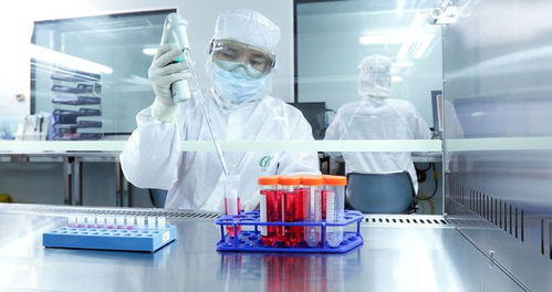 河南北科生物 推動臨床轉化 發掘小細胞的大潛力
