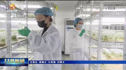 蘭州新區筑 產才融合 生態圈 高質量發展添新動能鳳凰網甘肅 鳳凰網