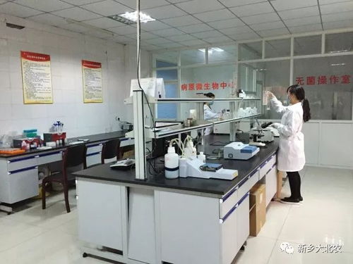 喜訊 新鄉大北農被授予 生物營養配方飼料 河南省工程實驗室