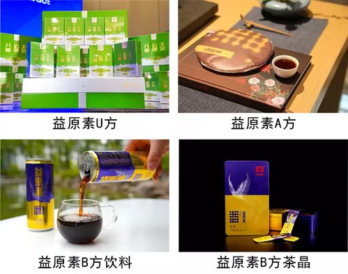 專家齊聚 尖峰論道, 微生物科技 能為普洱茶發展帶來多大想象力