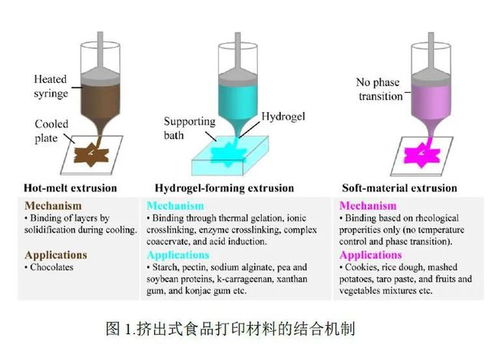 沈陽農業大學食品學院國家漿果加工技術研發專業中心 李斌教授團隊 3d食品打印 植物性材料在擠出式食品打印中的應用