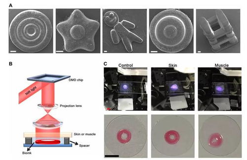 川大團隊實現體內無創生物3d打印,醫美手術或將不再 挨刀