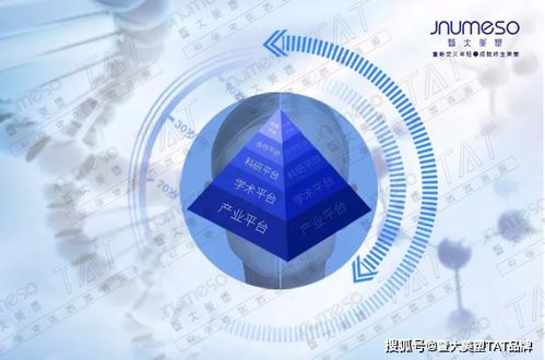 權威五大平臺為暨大美塑tat品牌開啟美業抗衰領域的聚變創新
