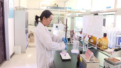 迪高維爾:打造河西地區一流的飼料生產企業