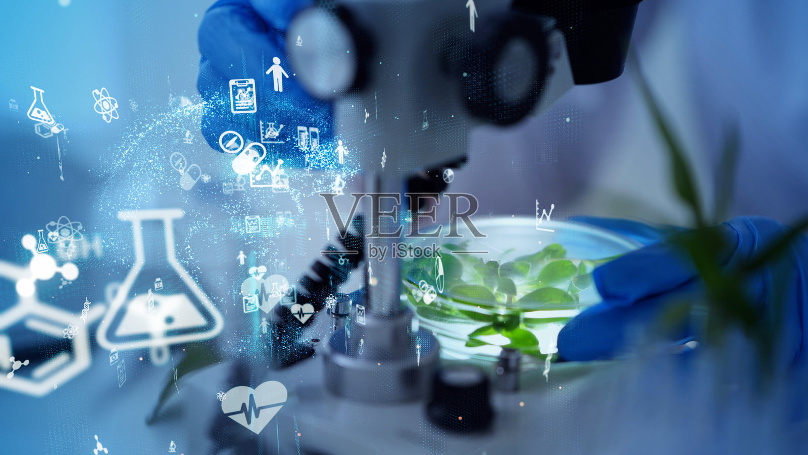 生物技術的概念。食品科技。營養科學。照片攝影