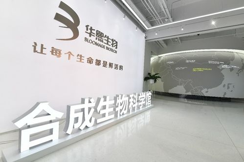 以科技力兌現長期價值 華熙生物2022功能性護膚品營收再創新高
