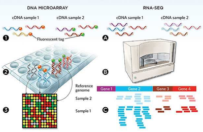 微流控自動(dòng)化技術(shù)革新RNA-Seq文庫構(gòu)建流程 --- FLUIDIGM發(fā)布更高效、更節(jié)約成本的Advanta RNA-Seq NGS 文庫構(gòu)建解決方案