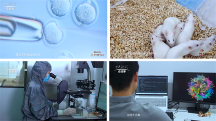 《實業精神》欄目走進賽業生物,探尋AI與醫藥科學新未來