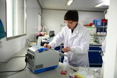 中國婦女十三大代表風采|陳瑞愛:創新突破技術瓶頸,逐夢擔當科技興農