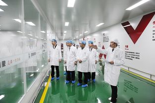 江蘇漢皇印象,用科技創造美的源動力