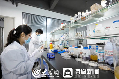 煙臺(tái)固特麗生物科技股份:生物技術(shù)賦能高品質(zhì)農(nóng)業(yè)發(fā)展